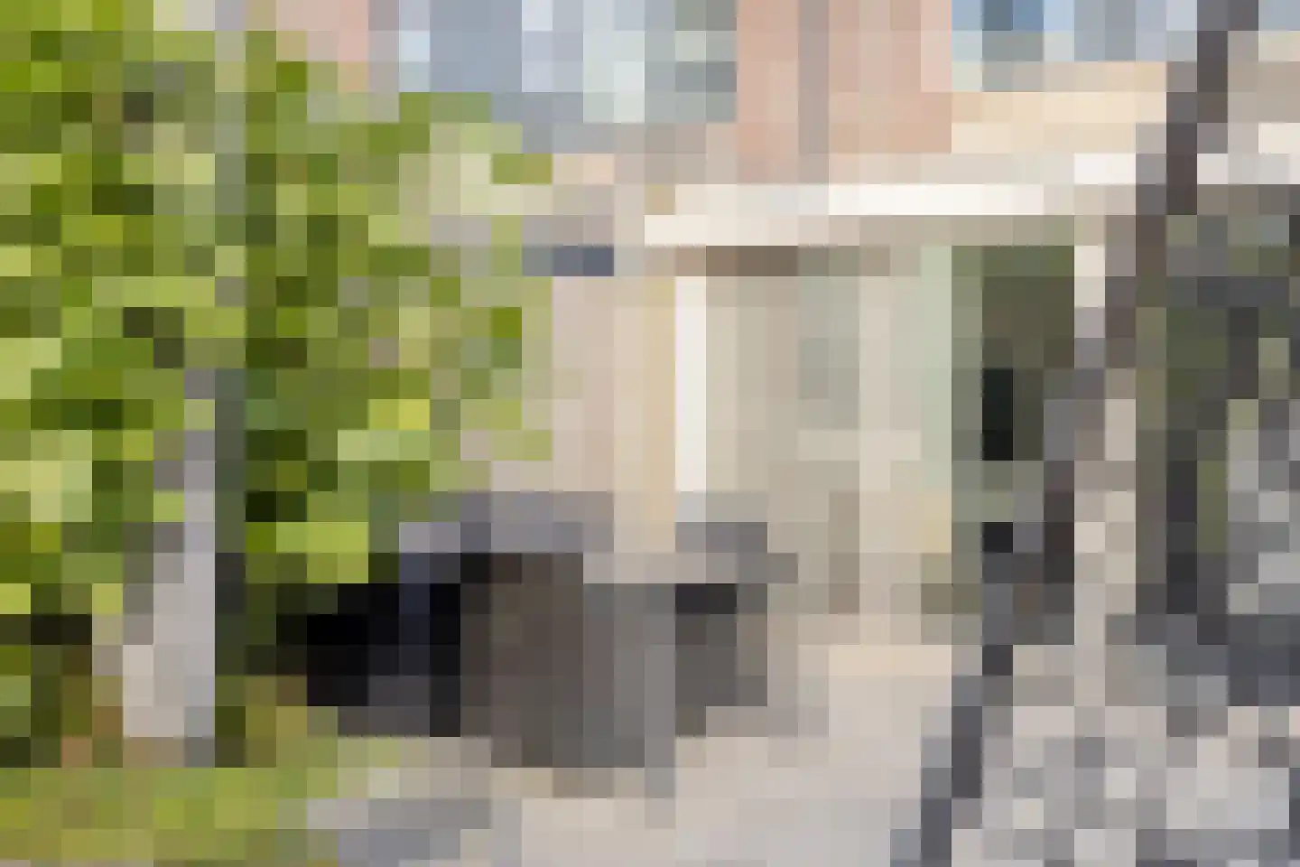 Vuurvlinder 18 Breda thumbnail 15