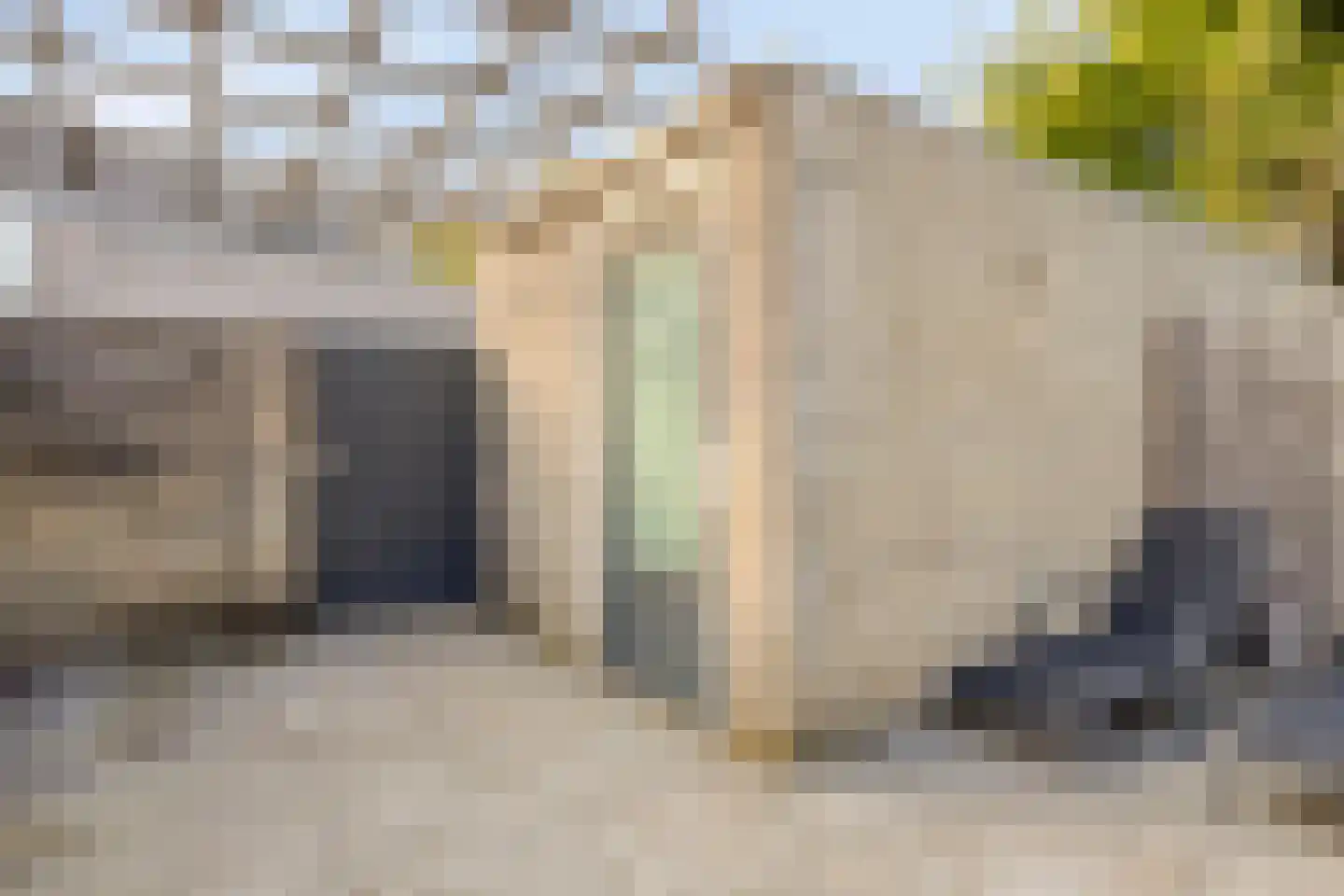Vuurvlinder 18 Breda thumbnail 16