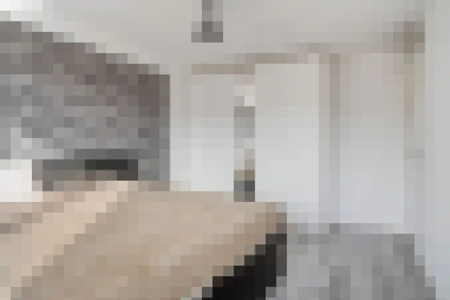 Vuurvlinder 18 Breda thumbnail 20