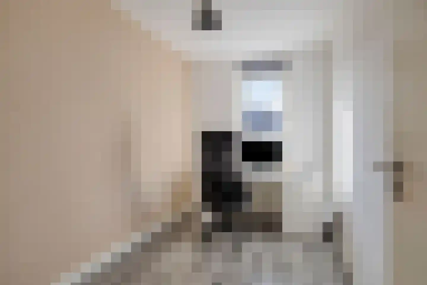 Vuurvlinder 18 Breda thumbnail 21