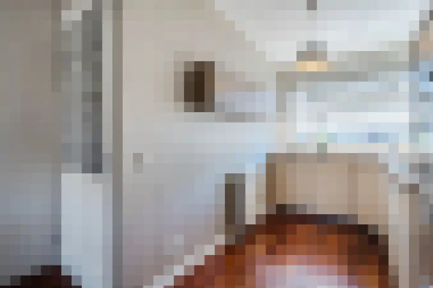 Vuurvlinder 20 Nijkerk thumbnail 7