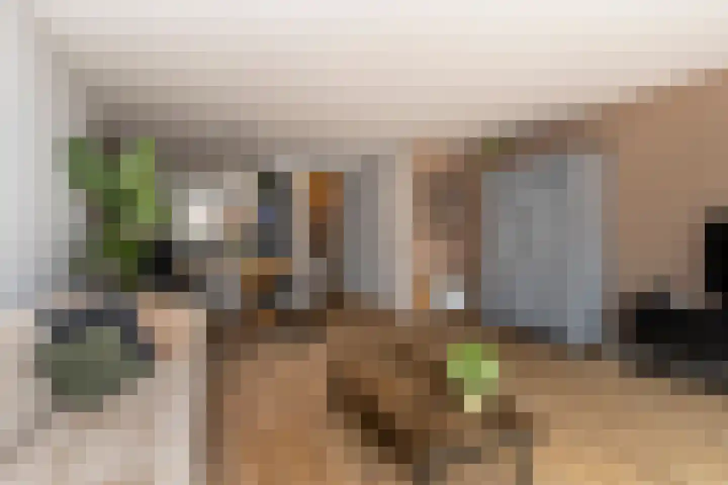 Vuurvlinder 21 's-Gravenzande thumbnail 17