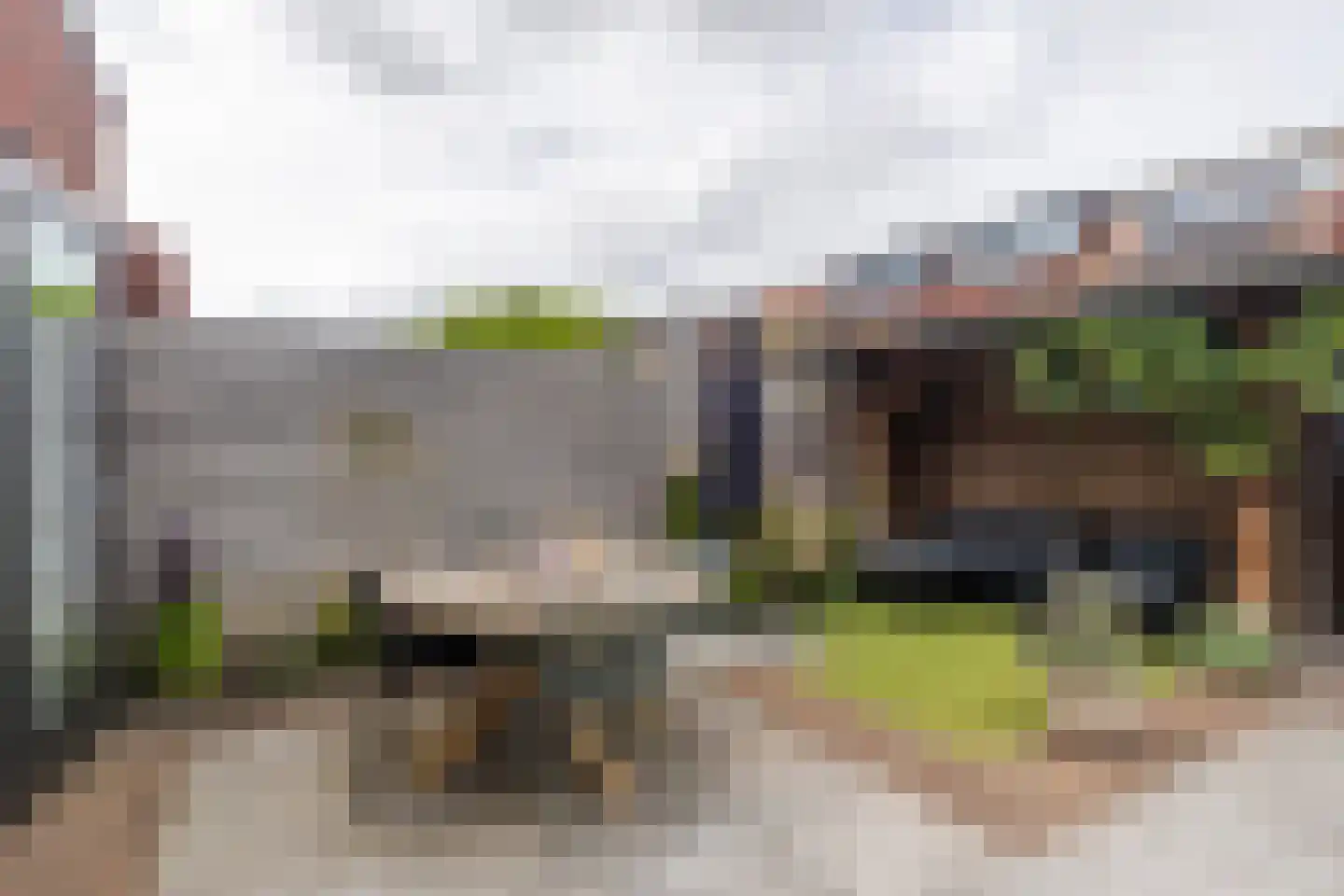 Vuurvlinder 21 's-Gravenzande thumbnail 19