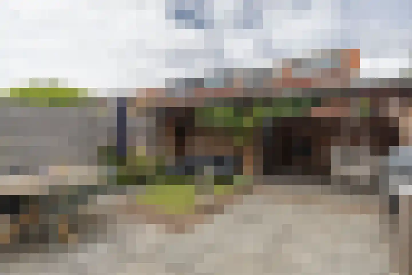 Vuurvlinder 21 's-Gravenzande thumbnail 20