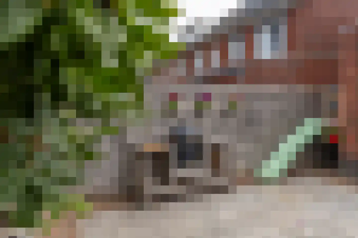 Vuurvlinder 21 's-Gravenzande thumbnail 22