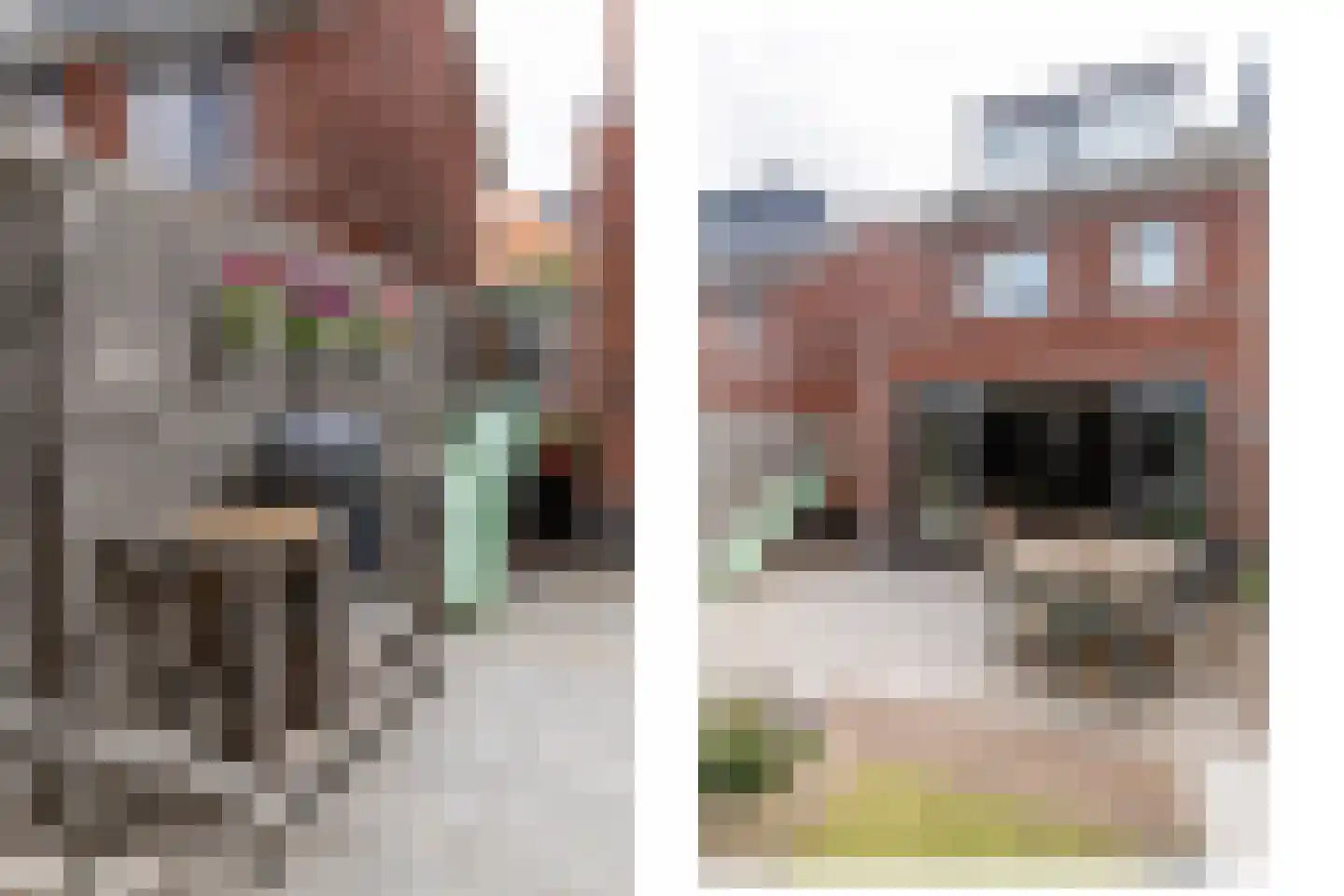 Vuurvlinder 21 's-Gravenzande thumbnail 23