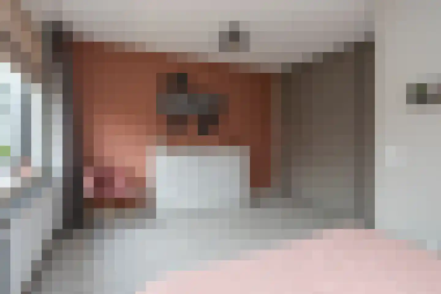 Vuurvlinder 21 's-Gravenzande thumbnail 27