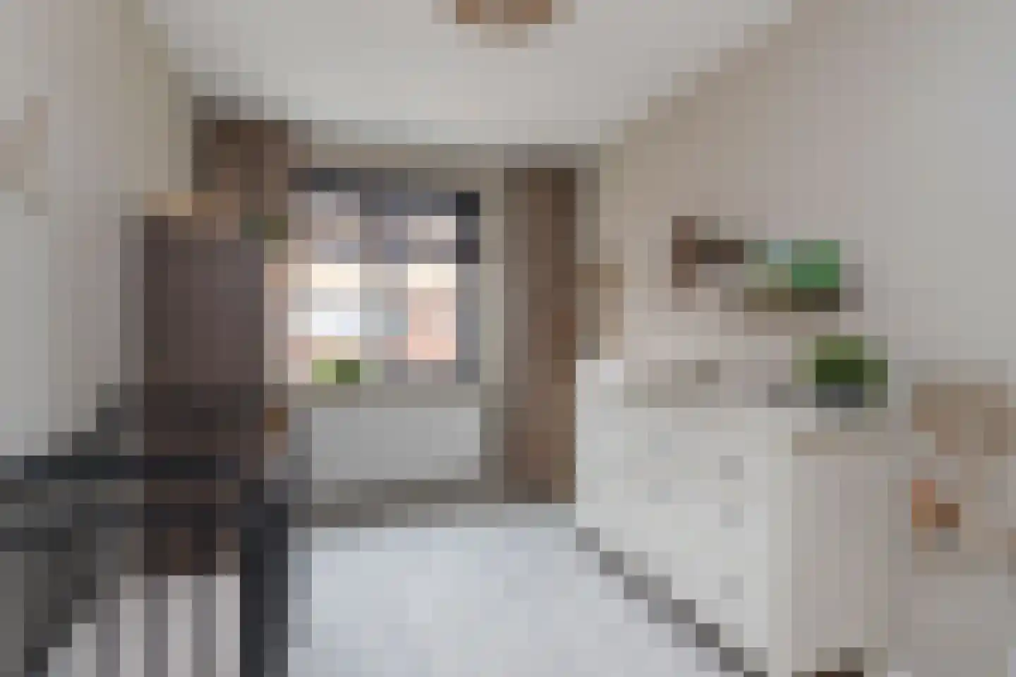 Vuurvlinder 21 's-Gravenzande thumbnail 29