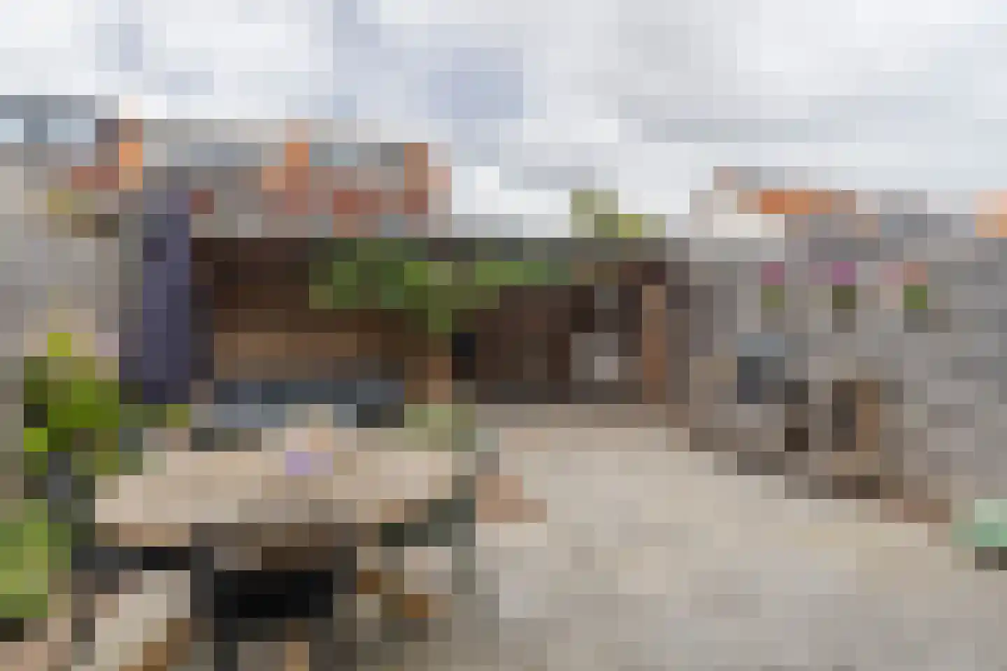 Vuurvlinder 21 's-Gravenzande thumbnail 4