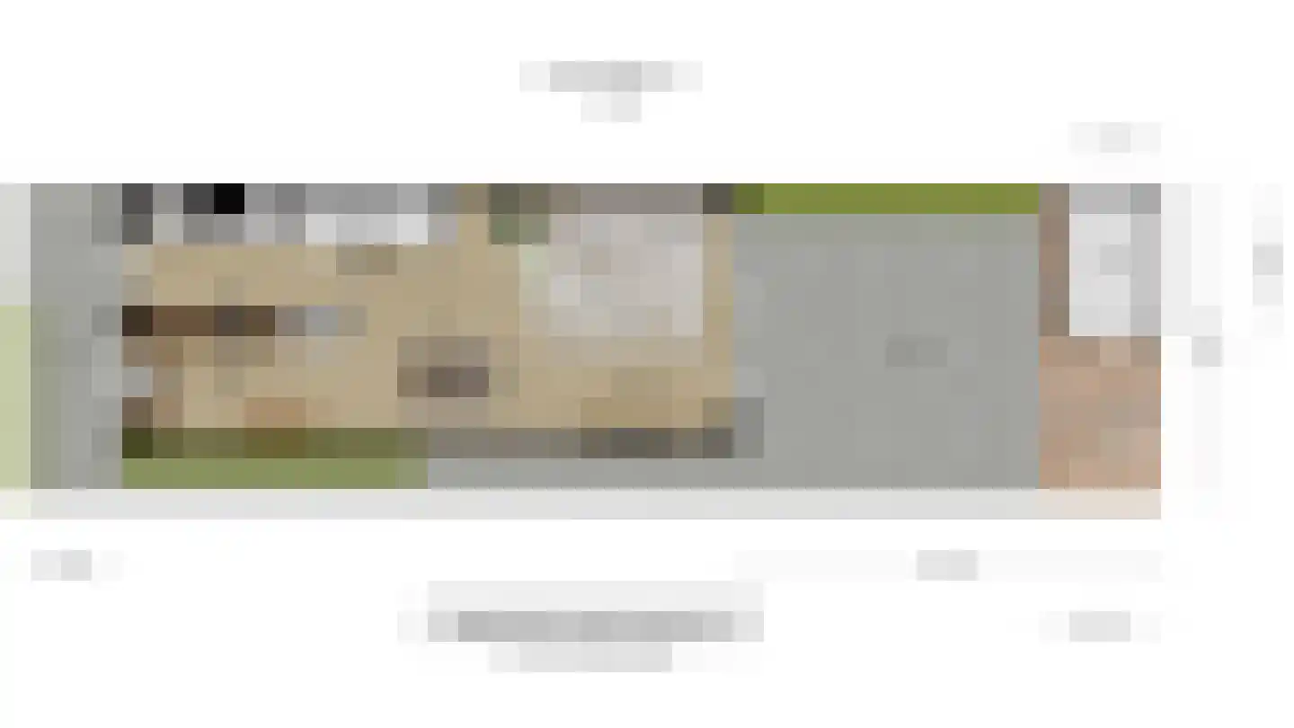 Vuurvlinder 21 's-Gravenzande thumbnail 41