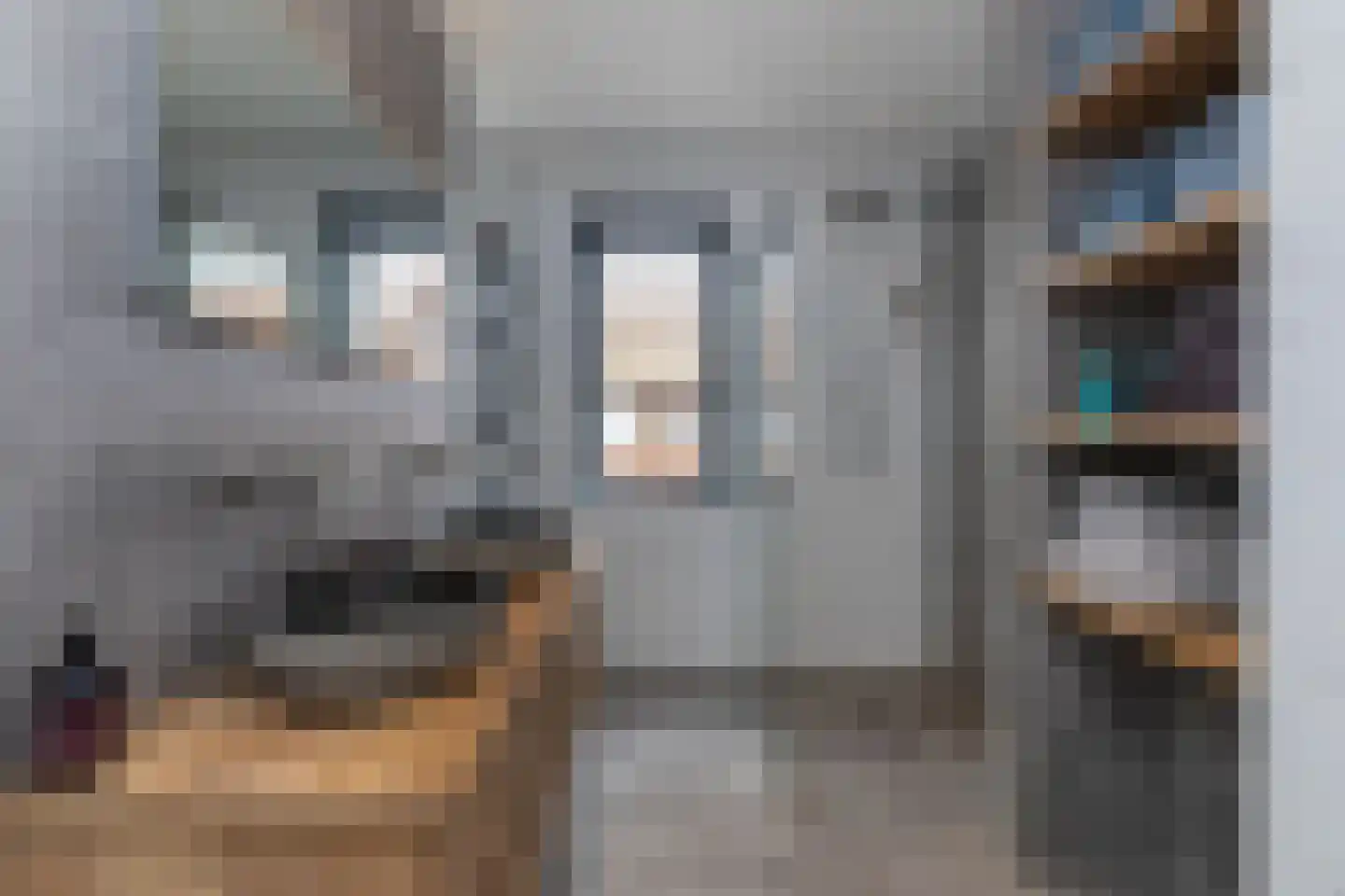 Vuurvlinder 21 's-Gravenzande thumbnail 6
