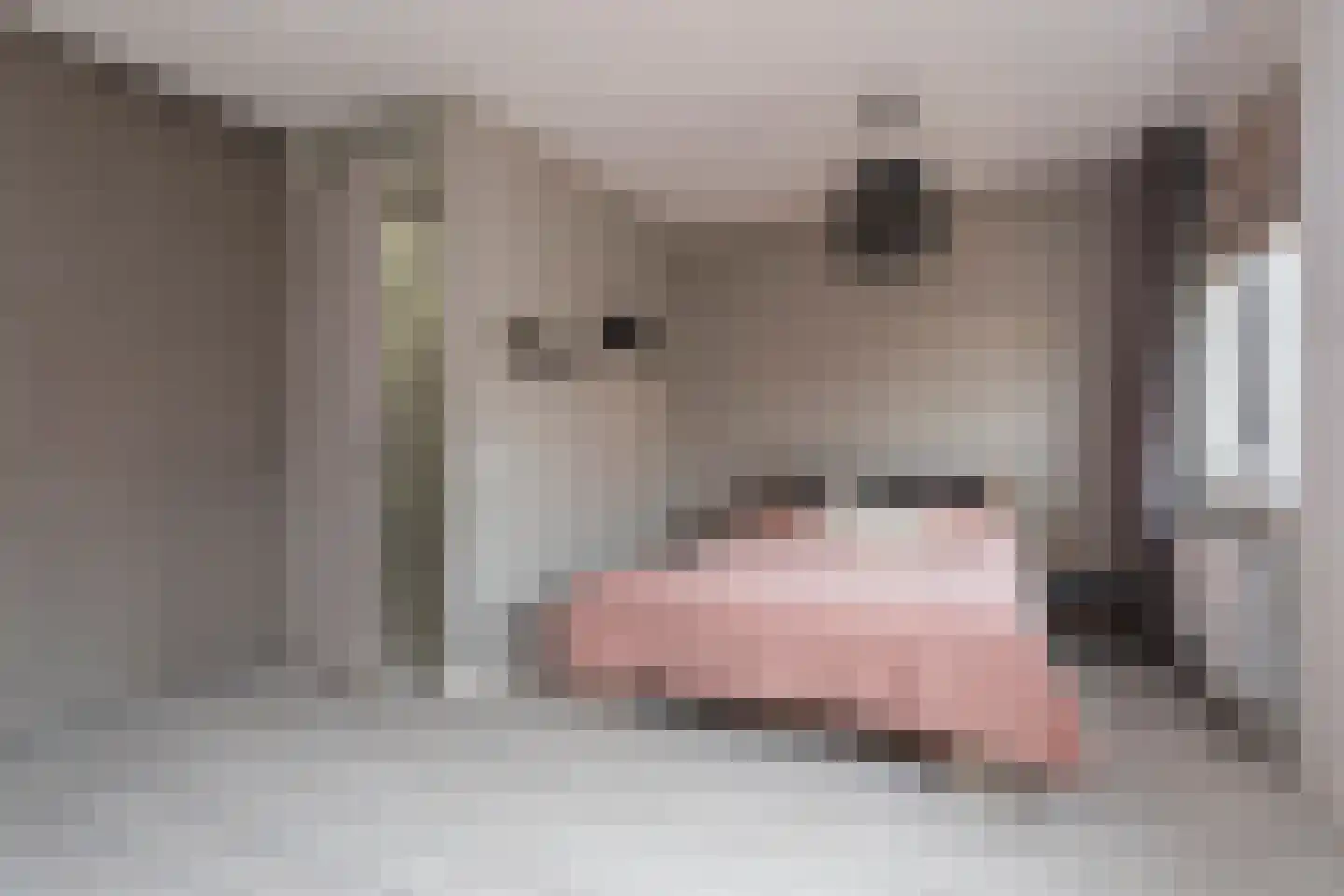 Vuurvlinder 21 's-Gravenzande thumbnail 7