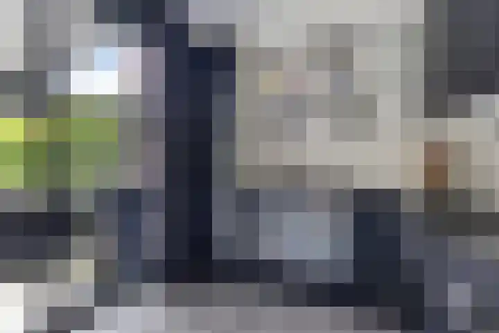 Vuurvlinder 21 Sneek thumbnail 10