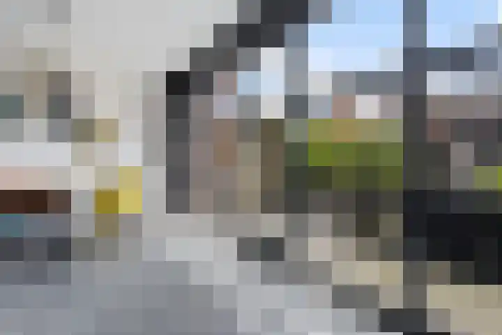 Vuurvlinder 21 Sneek thumbnail 11