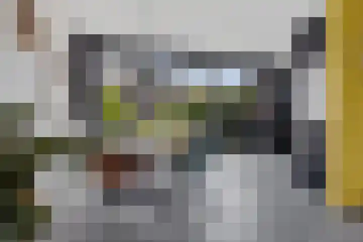 Vuurvlinder 21 Sneek thumbnail 12