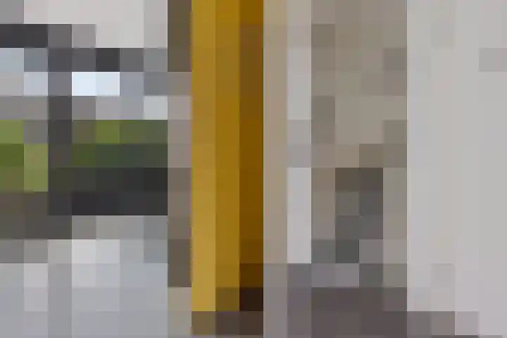 Vuurvlinder 21 Sneek thumbnail 13