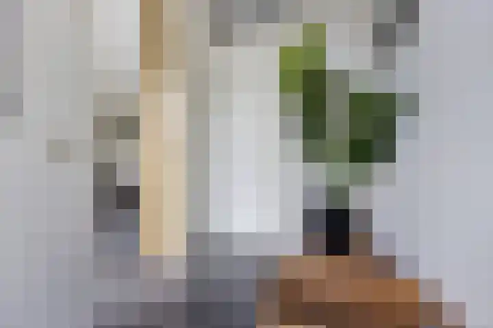 Vuurvlinder 21 Sneek thumbnail 15