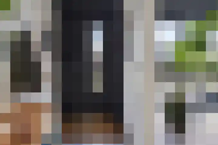 Vuurvlinder 21 Sneek thumbnail 16