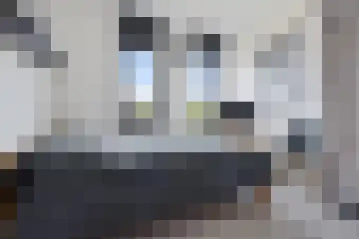 Vuurvlinder 21 Sneek thumbnail 17