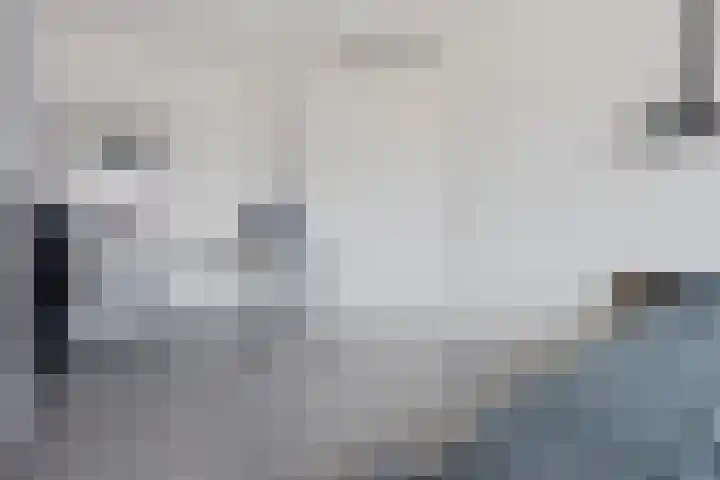 Vuurvlinder 21 Sneek thumbnail 18