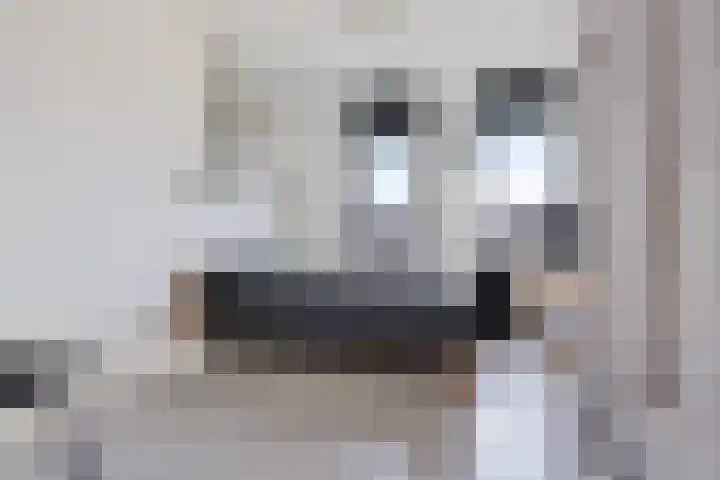 Vuurvlinder 21 Sneek thumbnail 19