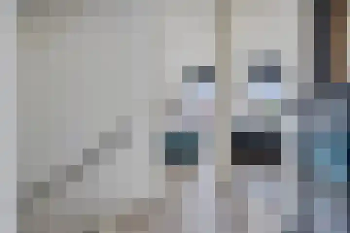Vuurvlinder 21 Sneek thumbnail 20