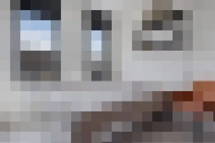 Vuurvlinder 21 Sneek thumbnail 21