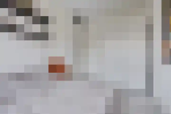 Vuurvlinder 21 Sneek thumbnail 22