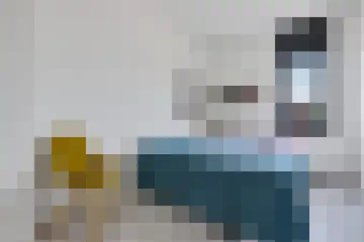 Vuurvlinder 21 Sneek thumbnail 23