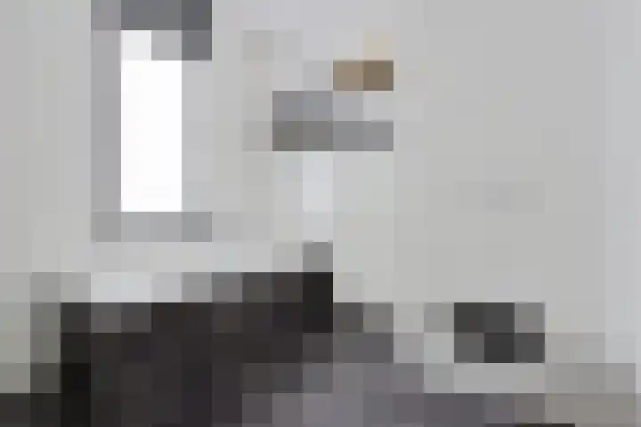 Vuurvlinder 21 Sneek thumbnail 26
