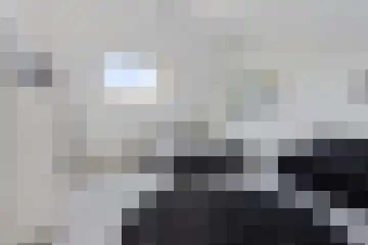 Vuurvlinder 21 Sneek thumbnail 28