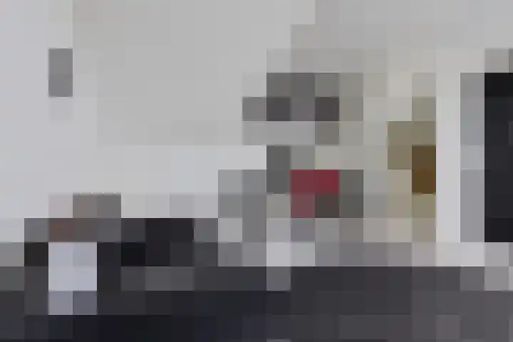 Vuurvlinder 21 Sneek thumbnail 29