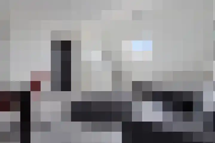 Vuurvlinder 21 Sneek thumbnail 30