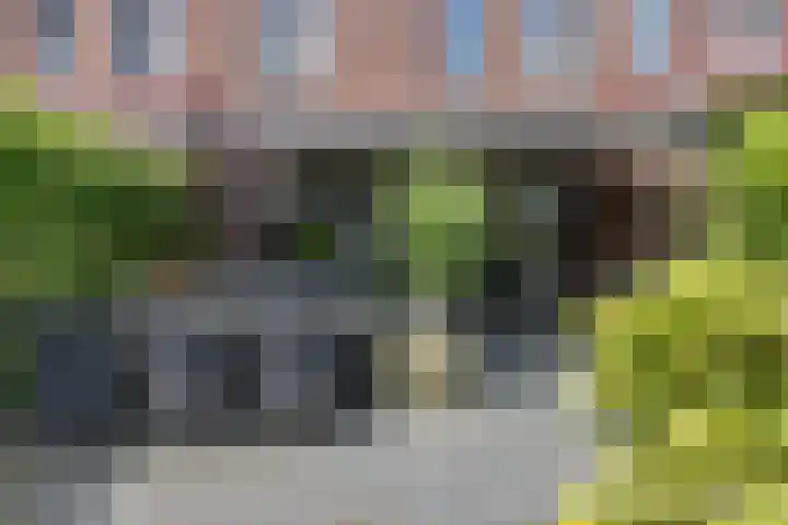 Vuurvlinder 21 Sneek thumbnail 31