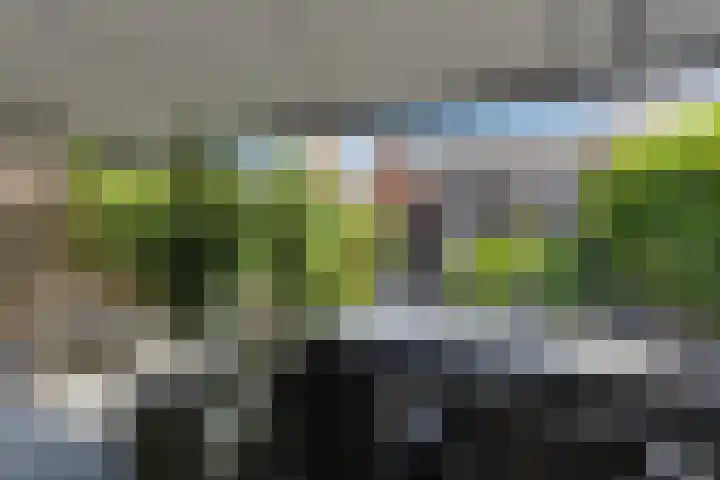 Vuurvlinder 21 Sneek thumbnail 32