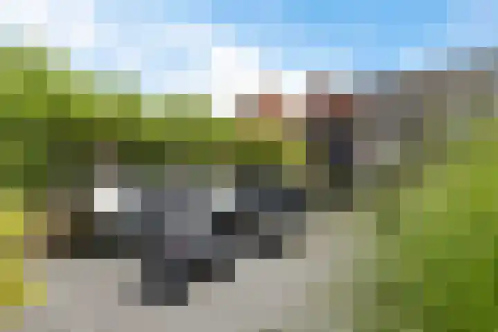 Vuurvlinder 21 Sneek thumbnail 33