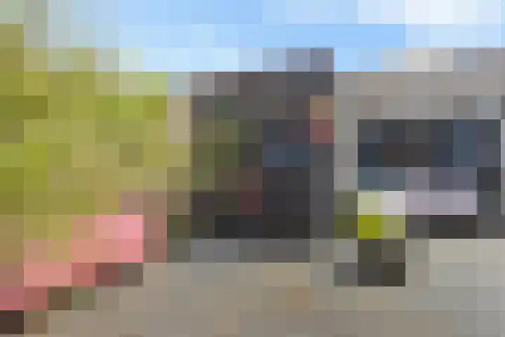 Vuurvlinder 21 Sneek thumbnail 34