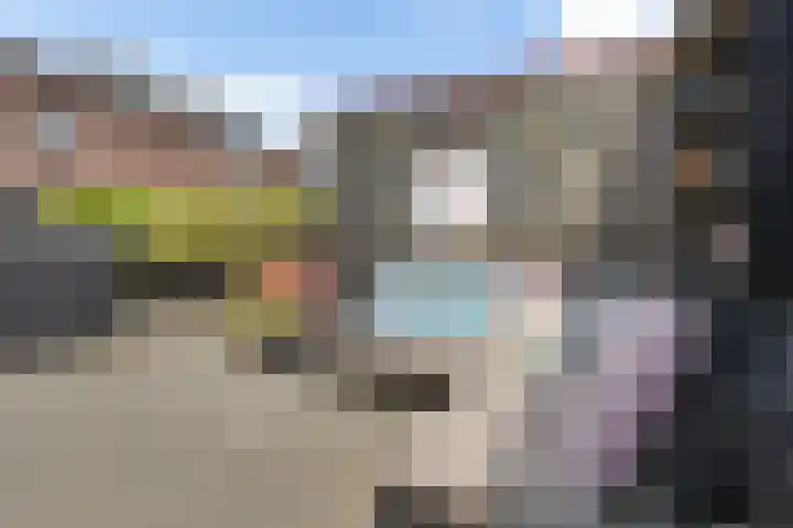 Vuurvlinder 21 Sneek thumbnail 35