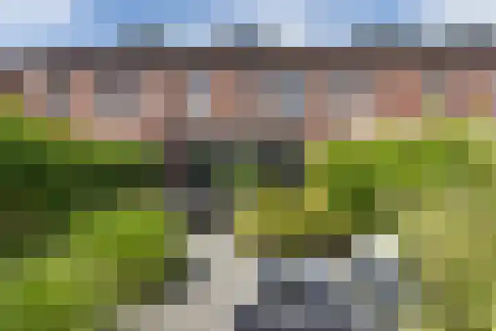 Vuurvlinder 21 Sneek thumbnail 37