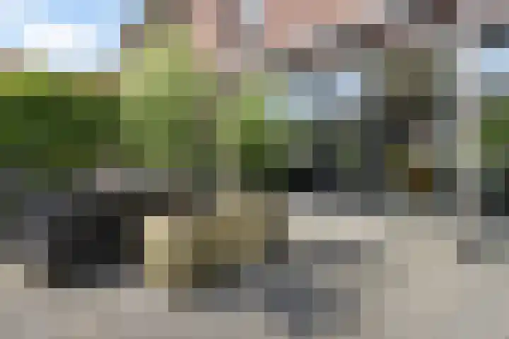 Vuurvlinder 21 Sneek thumbnail 38