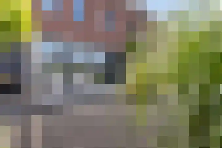 Vuurvlinder 21 Sneek thumbnail 39