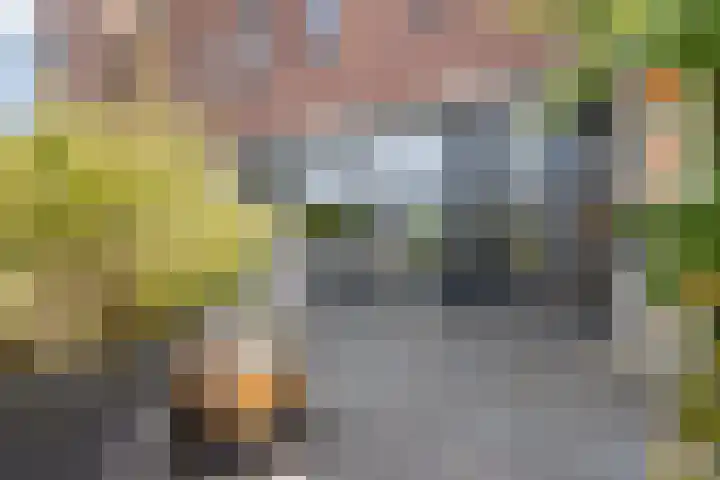 Vuurvlinder 21 Sneek thumbnail 40