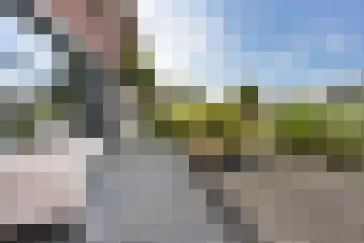 Vuurvlinder 21 Sneek thumbnail 41