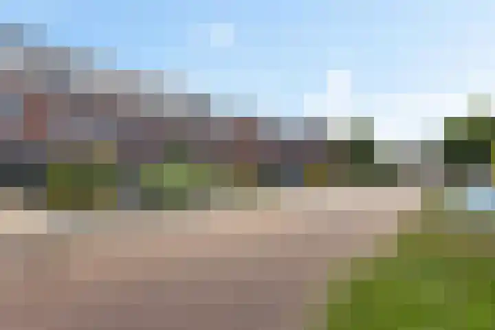 Vuurvlinder 21 Sneek thumbnail 42