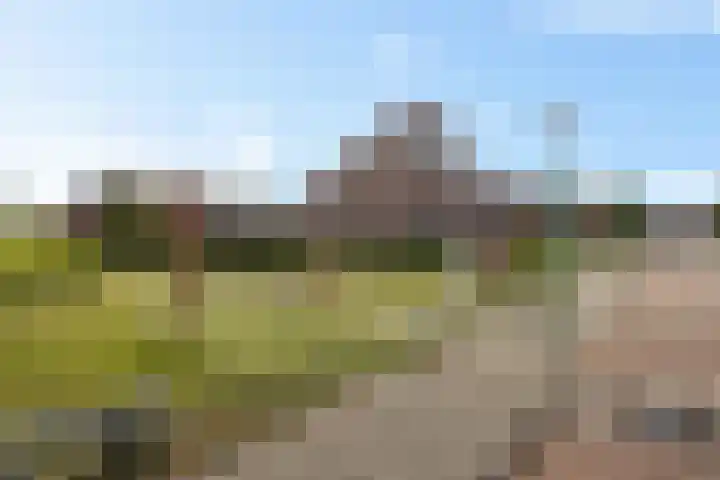 Vuurvlinder 21 Sneek thumbnail 43