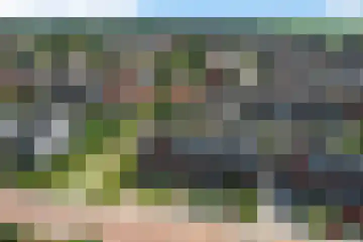 Vuurvlinder 21 Sneek thumbnail 44