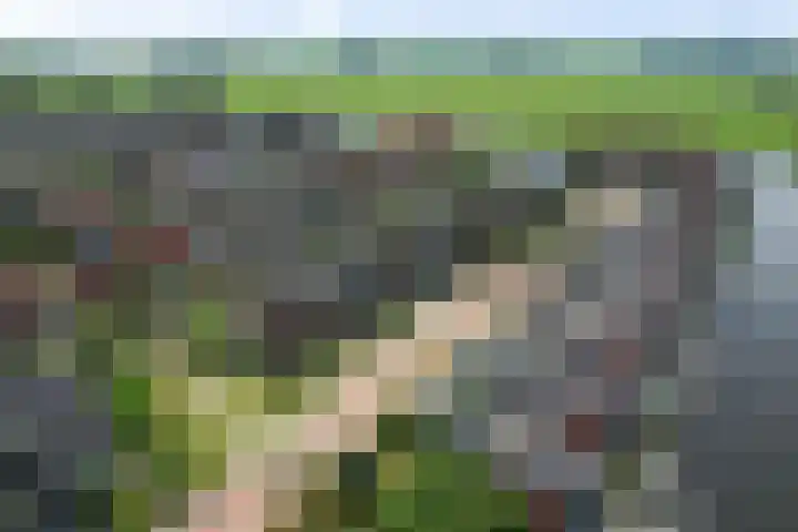Vuurvlinder 21 Sneek thumbnail 45