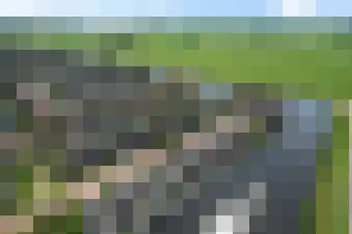 Vuurvlinder 21 Sneek thumbnail 46