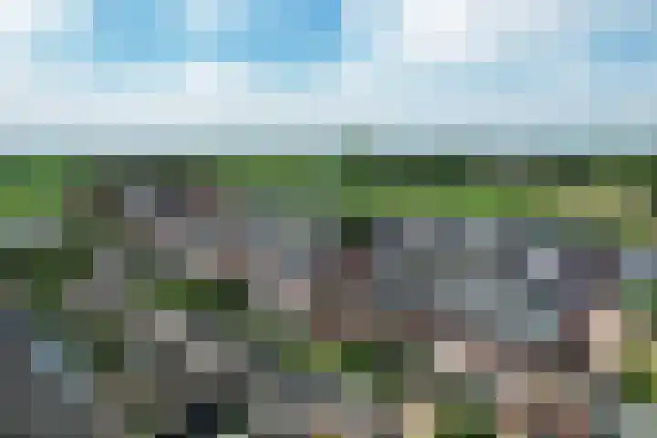 Vuurvlinder 21 Sneek thumbnail 47