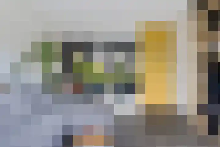 Vuurvlinder 21 Sneek thumbnail 5